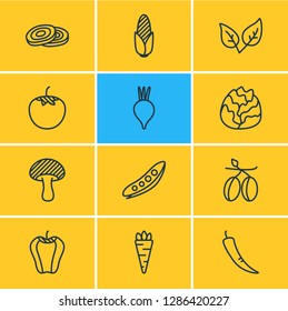 Vector illustration of 12 food icons line style. Editable set of chili, fungi, olives and other icon elements.