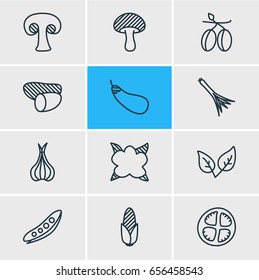 Vector Illustration Of 12 Food Icons. Editable Pack Of Green Onion, Legume, Tomato Slice And Other Elements.