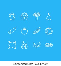 Vector Illustration Of 12 Food Icons. Editable Pack Of Garlic, Gourd, Peppermint And Other Elements.