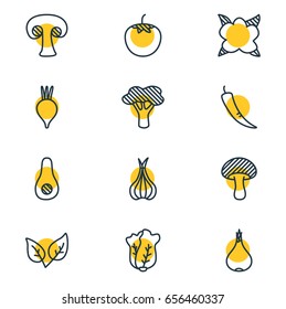 Vector Illustration Of 12 Food Icons. Editable Pack Of Cauliflower, Papaya, Fungi And Other Elements.