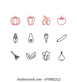 Vector Illustration Of 12 Food Icons. Editable Pack Of Maize, Gourd, Papaya And Other Elements.