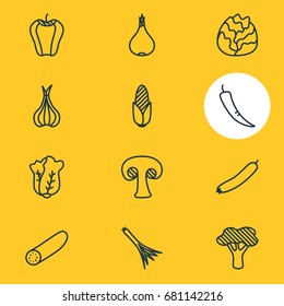 Vector Illustration Of 12 Food Icons. Editable Pack Of Fungi, Green Onion, Cole And Other Elements.