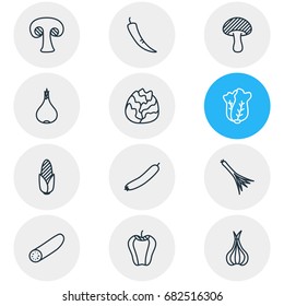 Vector Illustration Of 12 Food Icons. Editable Pack Of Sativum, Zucchini, Garlic And Other Elements.