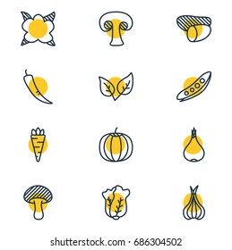Vector Illustration Of 12 Food Icons. Editable Pack Of Legume, Tuber, Paprika And Other Elements.