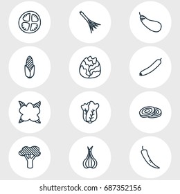 Vector Illustration Of 12 Food Icons. Editable Pack Of Cauliflower, Maize, Chinese Cabbage And Other Elements.