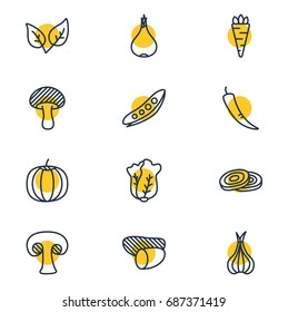 Vector Illustration Of 12 Food Icons. Editable Pack Of Paprika, Root Vegetable, Sativum And Other Elements.