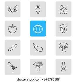 Vector Illustration Of 12 Food Icons. Editable Pack Of Zucchini, Papaya, Mediterranean And Other Elements.