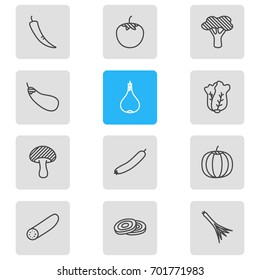 Vector Illustration Of 12 Food Icons. Editable Pack Of Circles, Gourd, Tree And Other Elements.