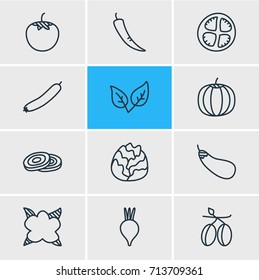 Vector Illustration Of 12 Food Icons. Editable Pack Of Cole, Peppermint, Paprika And Other Elements.