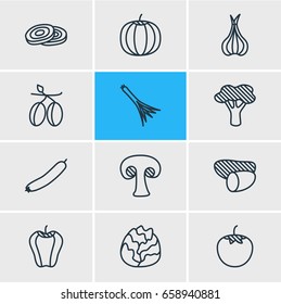 Vector Illustration Of 12  Icons. Editable Pack Of Sweet Pepper, Turnip, Green Onion And Other Elements.