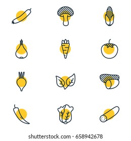 Vector Illustration Of 12  Icons. Editable Pack Of Peppermint, Root Vegetable, Garlic And Other Elements.