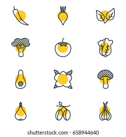 Vector Illustration Of 12  Icons. Editable Pack Of Tree, Chinese Cabbage, Beet And Other Elements.