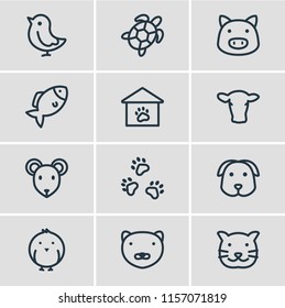 Vector illustration of 12 pet icons line style. Editable set of mink, pig, pet house and other icon elements.