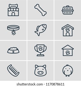 Vector illustration of 12 pet icons line style. Editable set of bone, comb, transport box and other icon elements.