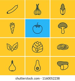 Vector illustration of 12 vegetables icons line style. Editable set of tomato, onion, avocado and other icon elements.