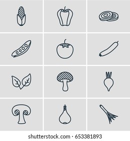 Vector Illustration Of 12 Vegetables Icons. Editable Pack Of Turnip, Green Onion, Circles And Other Elements.