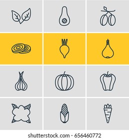 Vector Illustration Of 12 Vegetables Icons. Editable Pack Of Maize, Sweet Pepper, Circles And Other Elements.