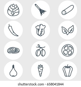Vector Illustration Of 12 Vegetables Icons. Editable Pack Of Chinese Cabbage, Paprika, Cucumber And Other Elements.