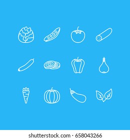 Vector Illustration Of 12 Vegetables Icons. Editable Pack Of Aubergine, Legume, Garlic And Other Elements.