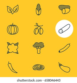 Vector Illustration Of 12 Vegetables Icons. Editable Pack Of Mediterranean, Aubergine, Paprika And Other Elements.