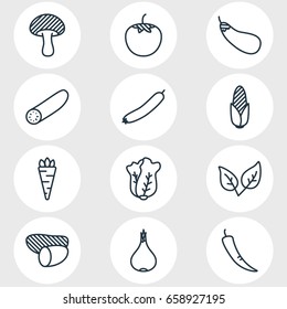 Vector Illustration Of 12 Vegetables Icons. Editable Pack Of Cucumber, Mushroom, Peppermint And Other Elements.