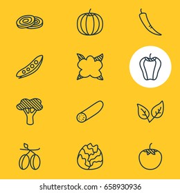 Vector Illustration Of 12 Vegetables Icons. Editable Pack Of Cucumber, Sweet Pepper, Cauliflower And Other Elements.