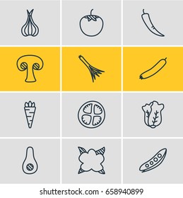 Vector Illustration Of 12 Vegetables Icons. Editable Pack Of Zucchini, Root Vegetable, Cauliflower And Other Elements.