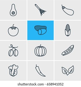 Vector Illustration Of 12 Vegetables Icons. Editable Pack Of Paprika, Tuber, Mediterranean And Other Elements.