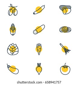 Vector Illustration Of 12 Vegetables Icons. Editable Pack Of Tuber, Aubergine, Maize And Other Elements.