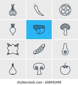 Vector Illustration Of 12 Vegetables Icons. Editable Pack Of Beet, Papaya, Legume And Other Elements.