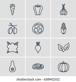 Vector Illustration Of 12 Vegetables Icons. Editable Pack Of Mediterranean, Tomato Slice, Beet And Other Elements.