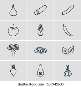 Vector Illustration Of 12 Vegetables Icons. Editable Pack Of Paprika, Papaya, Turnip And Other Elements.