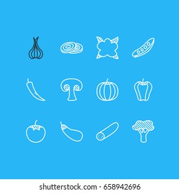 Vector Illustration Of 12 Vegetables Icons. Editable Pack Of Turnip, Cauliflower, Fungi And Other Elements.