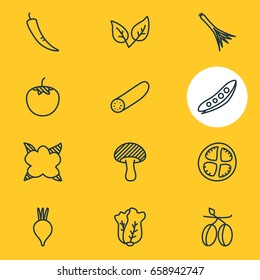 Vector Illustration Of 12 Vegetables Icons. Editable Pack Of Beet, Tomato Slice, Cucumber And Other Elements.