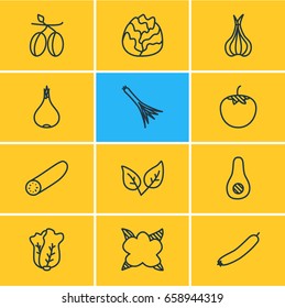 Vector Illustration Of 12 Vegetables Icons. Editable Pack Of Cucumber, Green Onion, Mediterranean And Other Elements.