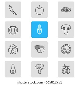Vector Illustration Of 12 Vegetables Icons. Editable Pack Of Tree, Maize, Papaya And Other Elements.