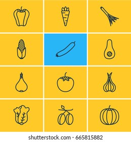 Vector Illustration Of 12 Vegetables Icons. Editable Pack Of Papaya, Root Vegetable, Green Onion And Other Elements.