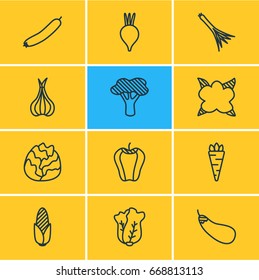 Vector Illustration Of 12 Vegetables Icons. Editable Pack Of Cauliflower, Cole, Sweet Pepper And Other Elements.