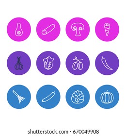 Vector Illustration Of 12 Vegetables Icons. Editable Pack Of Mediterranean, Papaya, Paprika And Other Elements.