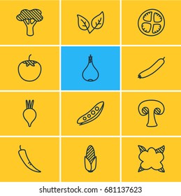 Vector Illustration Of 12 Vegetables Icons. Editable Pack Of Tree, Zucchini, Tomato Slice And Other Elements.