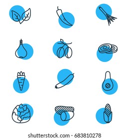 Vector Illustration Of 12 Vegetables Icons. Editable Pack Of Cole, Peppermint, Tuber And Other Elements.