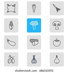Vector Illustration Of 12 Vegetables Icons. Editable Pack Of Garlic, Aubergine, Maize And Other Elements.