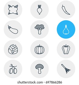 Vector Illustration Of 12 Vegetables Icons. Editable Pack Of Tree, Green Onion, Garlic And Other Elements.