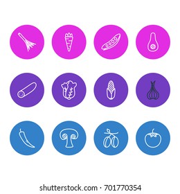 Vector Illustration Of 12 Vegetables Icons. Editable Pack Of Cucumber, Fungi, Legume And Other Elements.