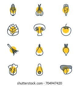 Vector Illustration Of 12 Vegetables Icons. Editable Pack Of Green Onion, Garlic, Tuber And Other Elements.