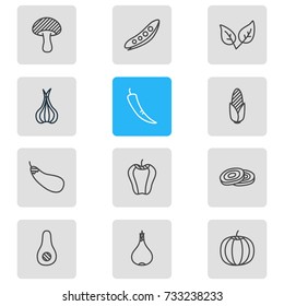 Vector Illustration Of 12 Vegetables Icons. Editable Pack Of Legume, Paprika, Aubergine And Other Elements.