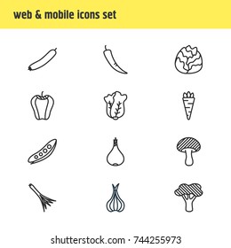 Vector Illustration Of 12 Vegetables Icons. Editable Pack Of Sativum, Legume, Chinese Cabbage And Other Elements.