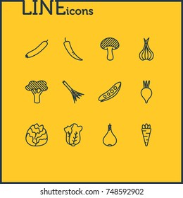 Vector Illustration Of 12 Vegetables Icons. Editable Pack Of Sativum, Green Onion, Root Vegetable And Other Elements.