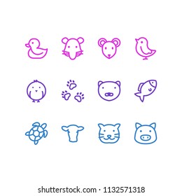 Vector illustration of 12 zoo icons line style. Editable set of mink, cow, rat and other icon elements.