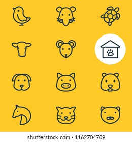 Vector illustration of 12 zoo icons line style. Editable set of mouse, rat, mink and other icon elements.